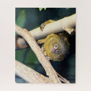 Marmoset Monkey Hi There, jigsaw puzzle