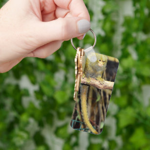 Marmoset Monkey On Alert, Keyring
