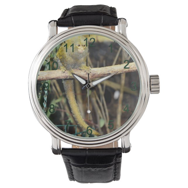 Marmoset Monkey On Alert, Mens Wrist Watch (Front)