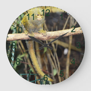 Marmoset Monkey On Alert, Wall Clock