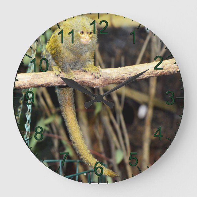 Marmoset Monkey On Alert, Wall Clock (Front)