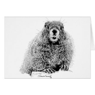 Marmot