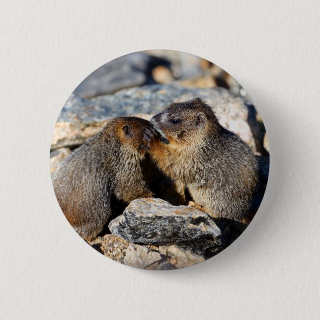 marmot 6 cm round badge (Front)