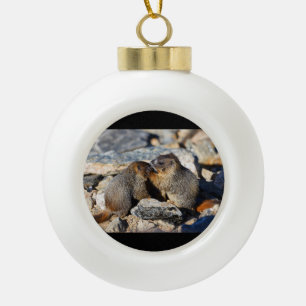 marmot babies ceramic ball christmas ornament