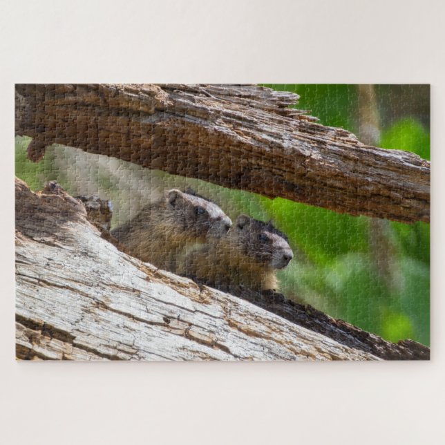 Marmot Brothers Jigsaw Puzzle (Horizontal)