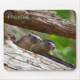 Marmot Brothers Mouse Pad