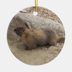 Marmot Ceramic Tree Decoration