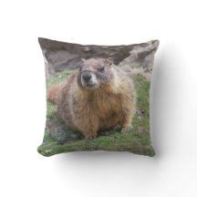 Marmot from Palouse Falls State Park Pillow