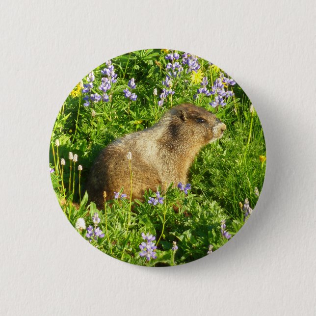 Marmot in Mount Rainier Wildflowers 6 Cm Round Badge (Front)