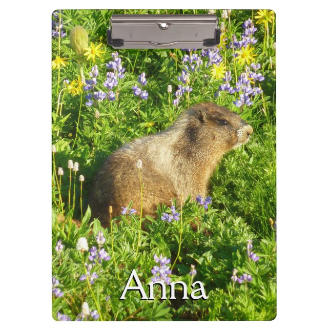 Marmot in Mount Rainier Wildflowers Clipboard (Front)