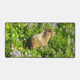 Marmot in Mount Rainier Wildflowers Desk Mat
