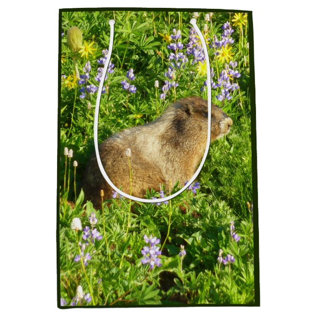 Marmot in Mount Rainier Wildflowers Medium Gift Bag (Front)