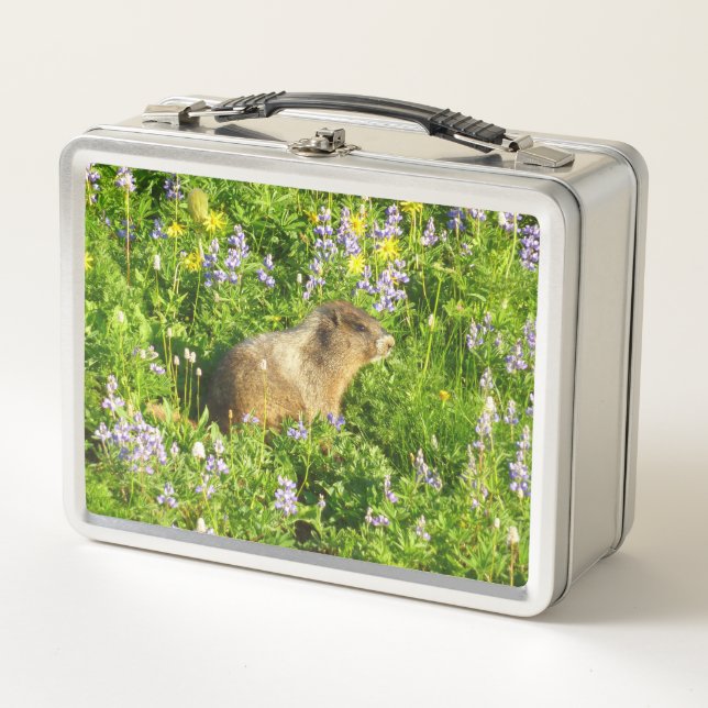 Marmot in Mount Rainier Wildflowers Metal Lunch Box (Front)