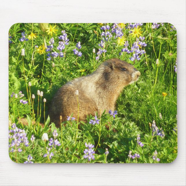 Marmot in Mount Rainier Wildflowers Mouse Pad (Front)