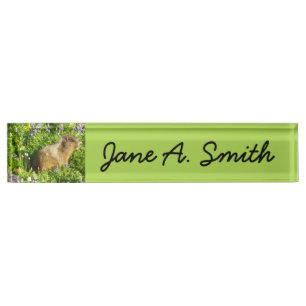 Marmot in Mount Rainier Wildflowers Nameplate