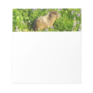 Marmot in Mount Rainier Wildflowers Notepad