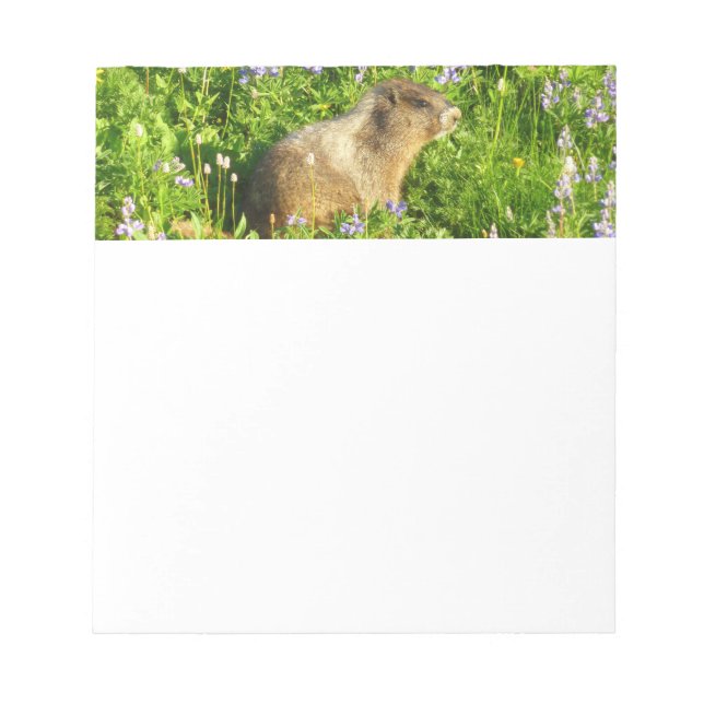 Marmot in Mount Rainier Wildflowers Notepad (Front)