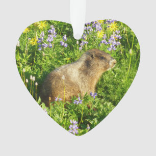 Marmot in Mount Rainier Wildflowers Ornament