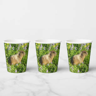 Marmot in Mount Rainier Wildflowers Paper Cups