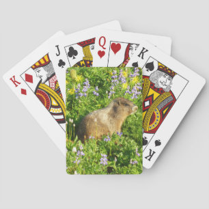 Marmot in Mount Rainier Wildflowers Playing Cards