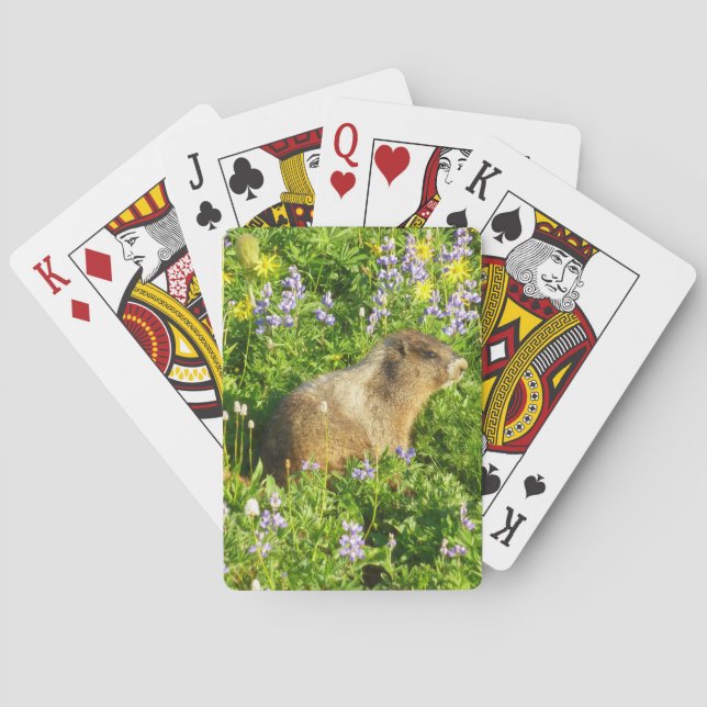 Marmot in Mount Rainier Wildflowers Playing Cards (Back)