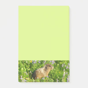 Marmot in Mount Rainier Wildflowers Post-it Notes