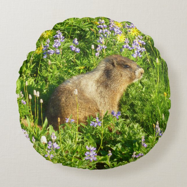 Marmot in Mount Rainier Wildflowers Round Cushion (Front)