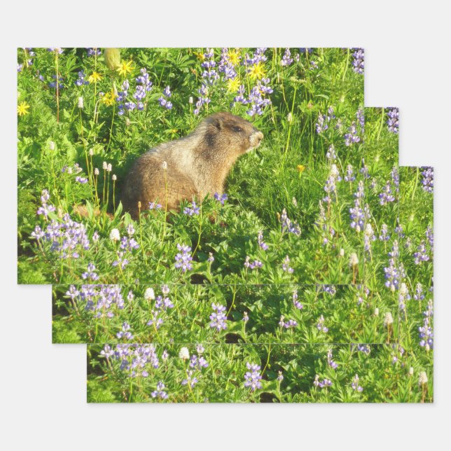 Marmot in Mount Rainier Wildflowers Wrapping Paper Sheet (Set)