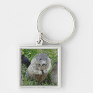 Marmot key chain