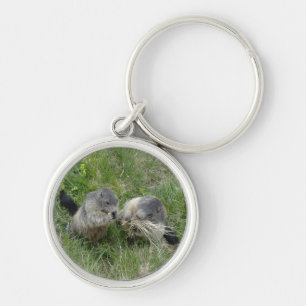Marmot key chain