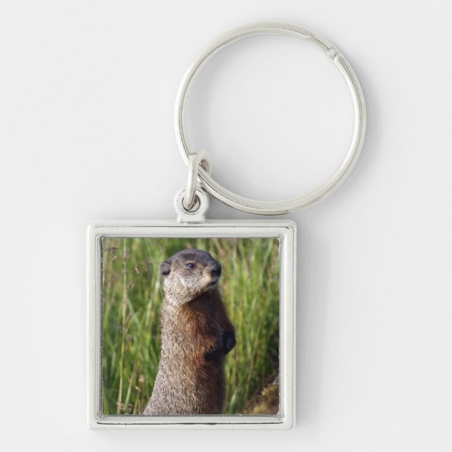 Marmot Keychain (Front)