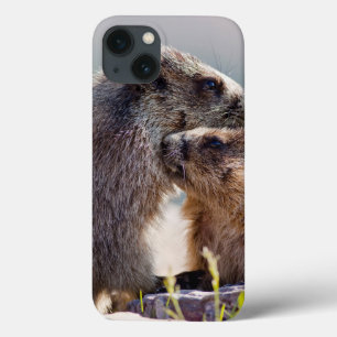 Marmot Mother with Baby iPhone 13 Case
