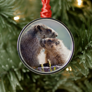 Marmot Mother with Baby Metal Ornament