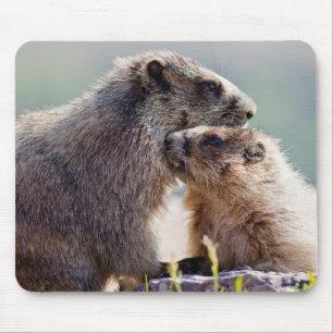 Marmot Mother with Baby Mouse Pad