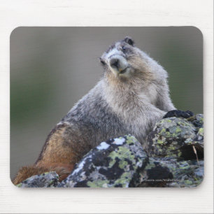 Marmot Mouse Pad