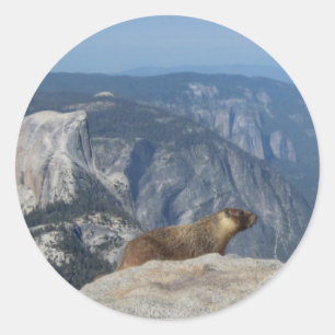 Marmot Overlooking Half Dome from Clouds Rest - Yo Classic Round Sticker