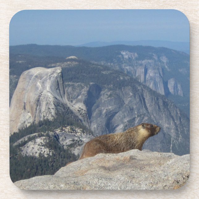 Marmot Overlooking Half Dome from Clouds Rest - Yo Coaster (Front)