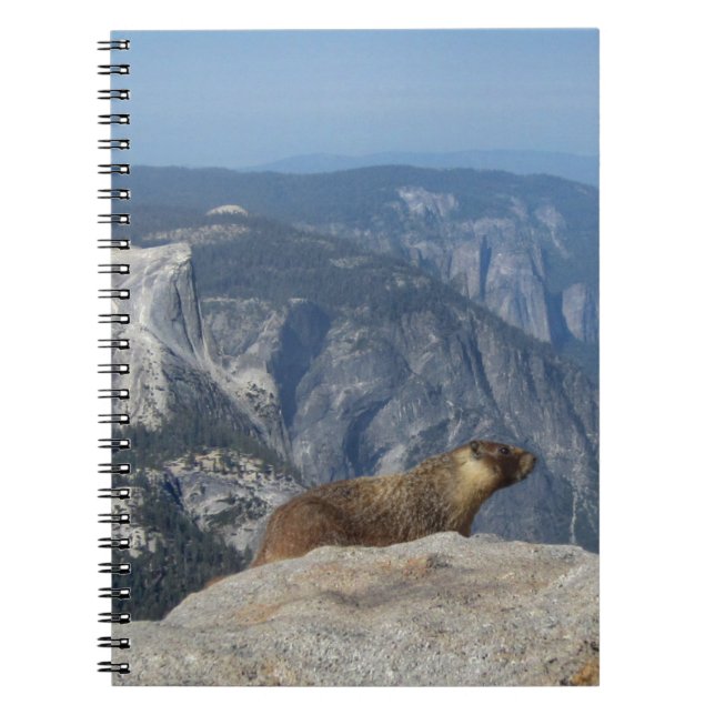 Marmot Overlooking Half Dome from Clouds Rest - Yo Notebook (Front)