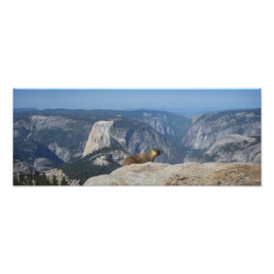 Marmot Overlooking Half Dome - Yosemite Photo Print