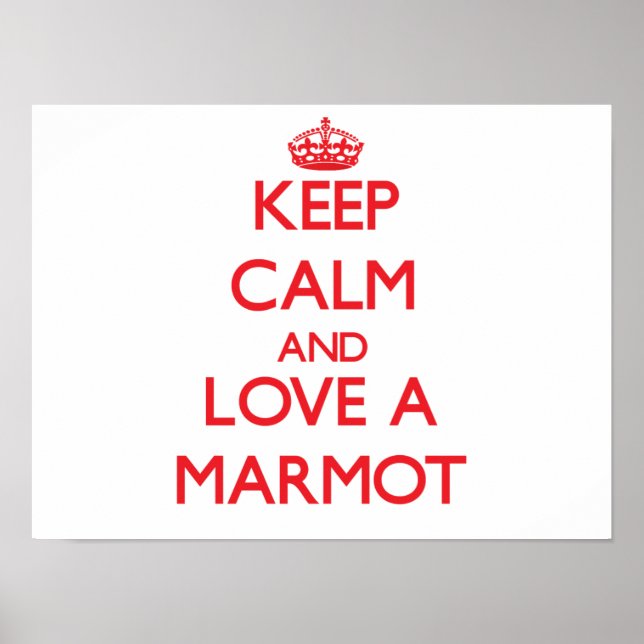Marmot Poster (Front)
