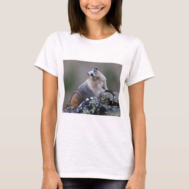 marmot T-Shirt (Front)
