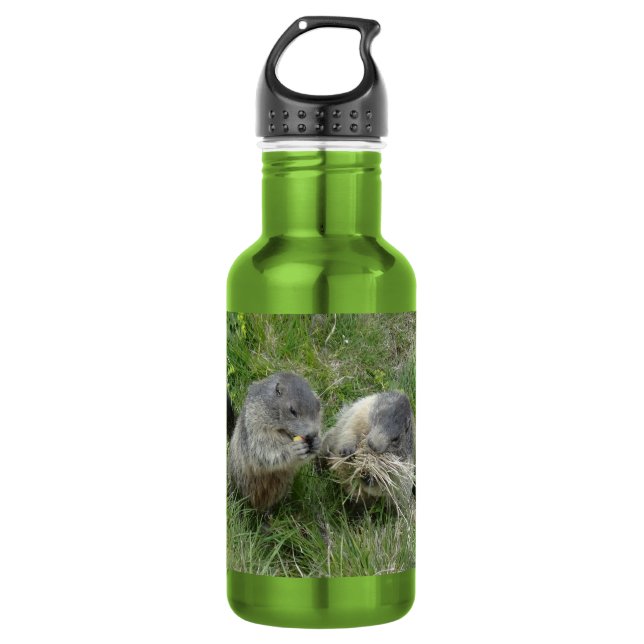Marmots 532 Ml Water Bottle (Front)