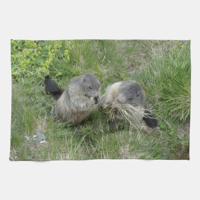 Marmots kitchen towel (Horizontal)