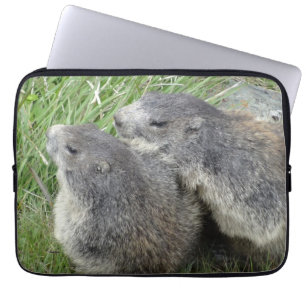 Marmots laptop sleeves
