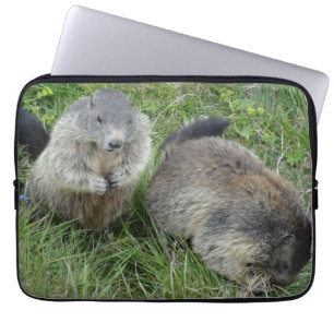 Marmots laptop sleeves