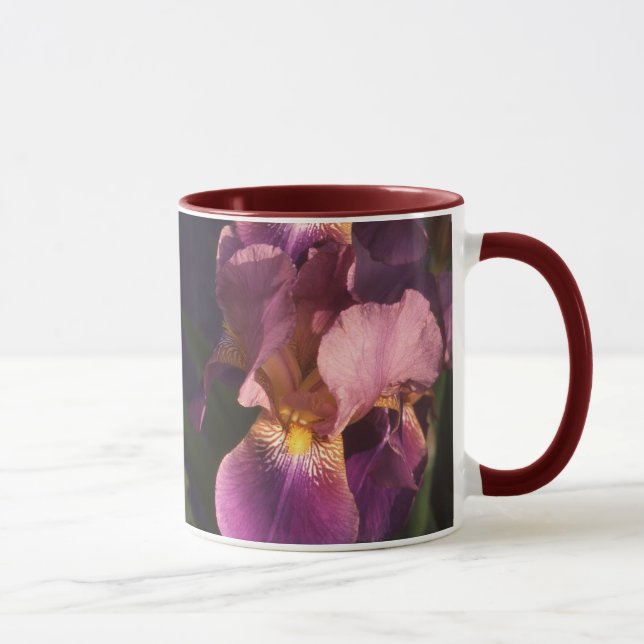 Maroon and Pink Bearded Dutch Iris Mug (Right)