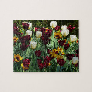 Maroon and Yellow Tulips Colourful Floral Jigsaw Puzzle