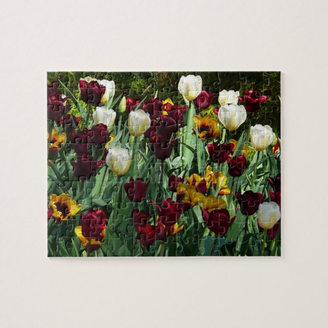 Maroon and Yellow Tulips Colourful Floral Jigsaw Puzzle (Horizontal)