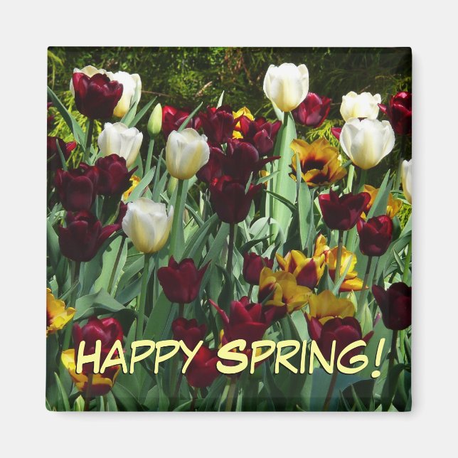 Maroon and Yellow Tulips Colourful Floral Magnet (Front)