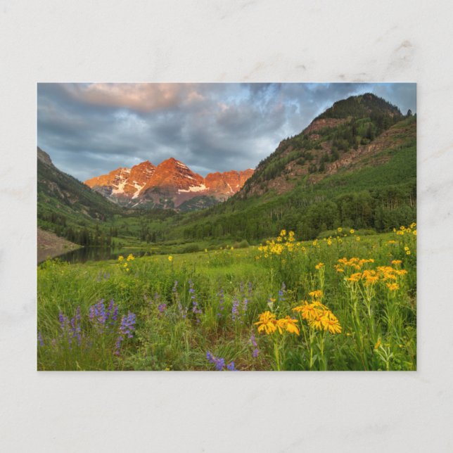 Maroon Bells Reflect Into Calm Maroon Lake Postcard (Front)